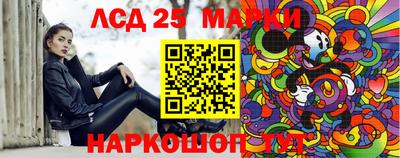 спиды Кингисепп