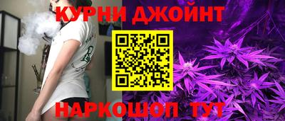 спиды Кингисепп