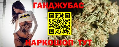 спиды Кингисепп