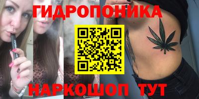 стаф Кимры