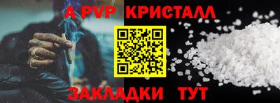 спиды Кингисепп