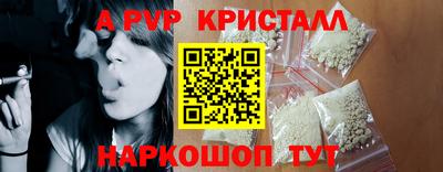 спиды Кингисепп