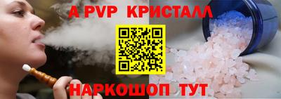 спиды Кингисепп